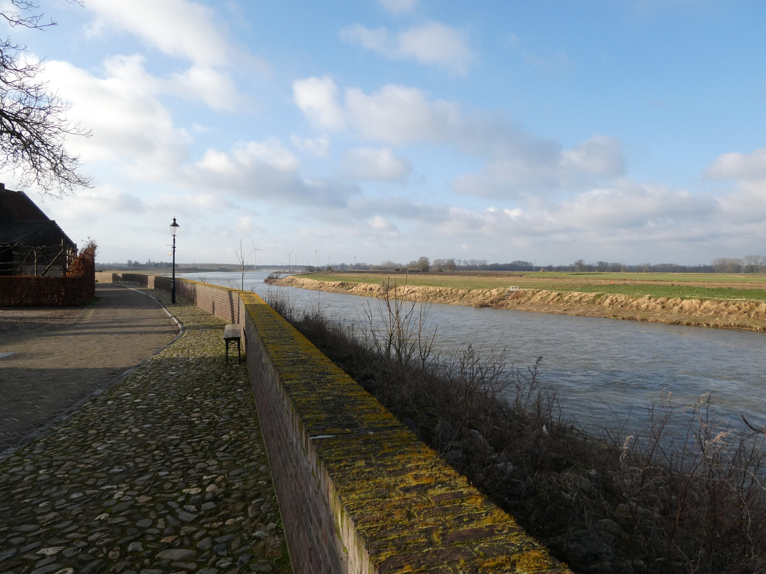 Maas